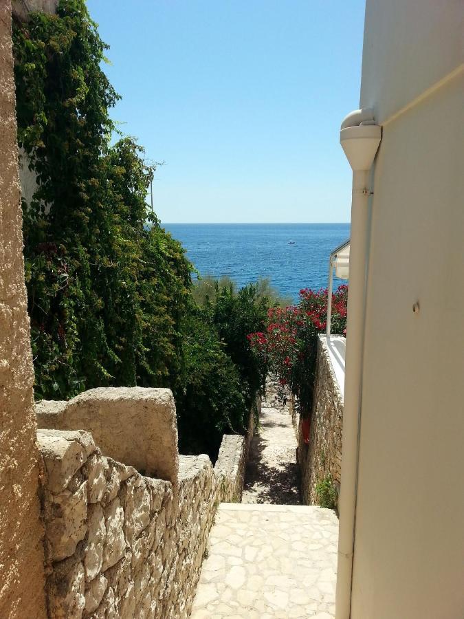 فيلا Perla Sul Mare Adriatico ماريتيما المظهر الخارجي الصورة